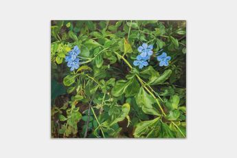 Liu Yin contemporary artist