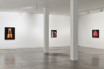 Contemporary art exhibition Greta Anderson The Transcenders at Two Rooms Auckland New Zealand
