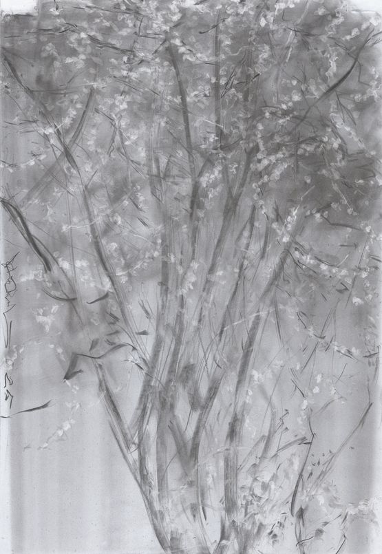 Miscellaneous Various Flower by He Duoling contemporary artwork Works on Paper