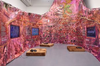 Contemporary art exhibition Sungsil Ryu Return to Roots A Retrospective in Memory of Cherry Jang 1984-2019 at Tiger Strikes Asteroid New York