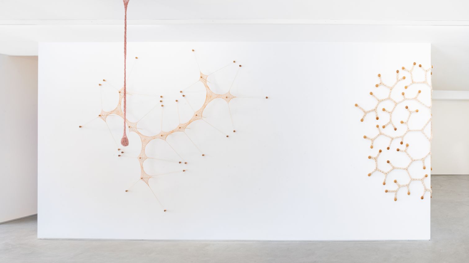 Ernesto Neto