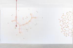Ernesto Neto