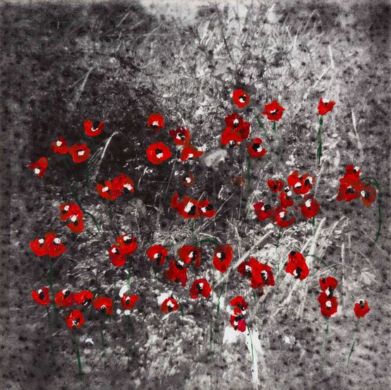 Anemone Tony by Ziad Antar contemporary artwork Painting