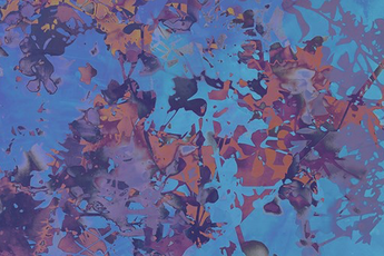 James Welling contemporary artist