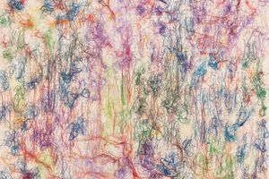 Ghada Amer
