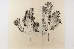 Simryn Gill