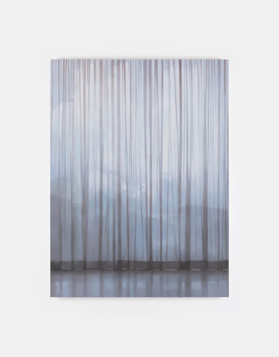 Veil 30 by Paul Winstanley contemporary artwork Painting