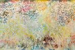 Sam Falls contemporary artist