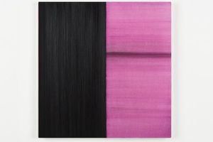 Callum Innes