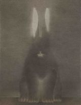 In the Name of the Rabbit 0822 by Shao Fan contemporary artwork drawing works on paper