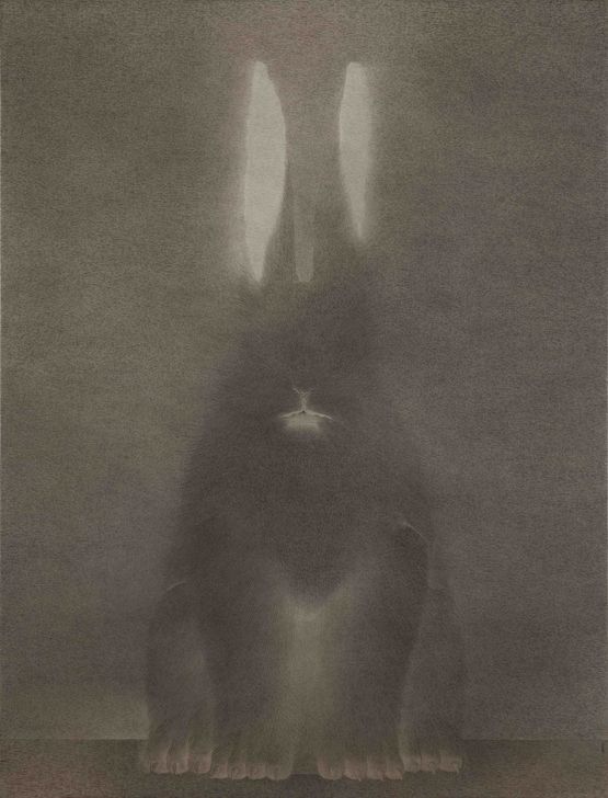 In the Name of the Rabbit 0822 by Shao Fan contemporary artwork Works on Paper