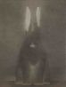 In the Name of the Rabbit 0822 by Shao Fan contemporary artwork Works on Paper