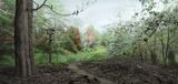 Oyster Bay by Hiroshi Sugimoto contemporary artwork print