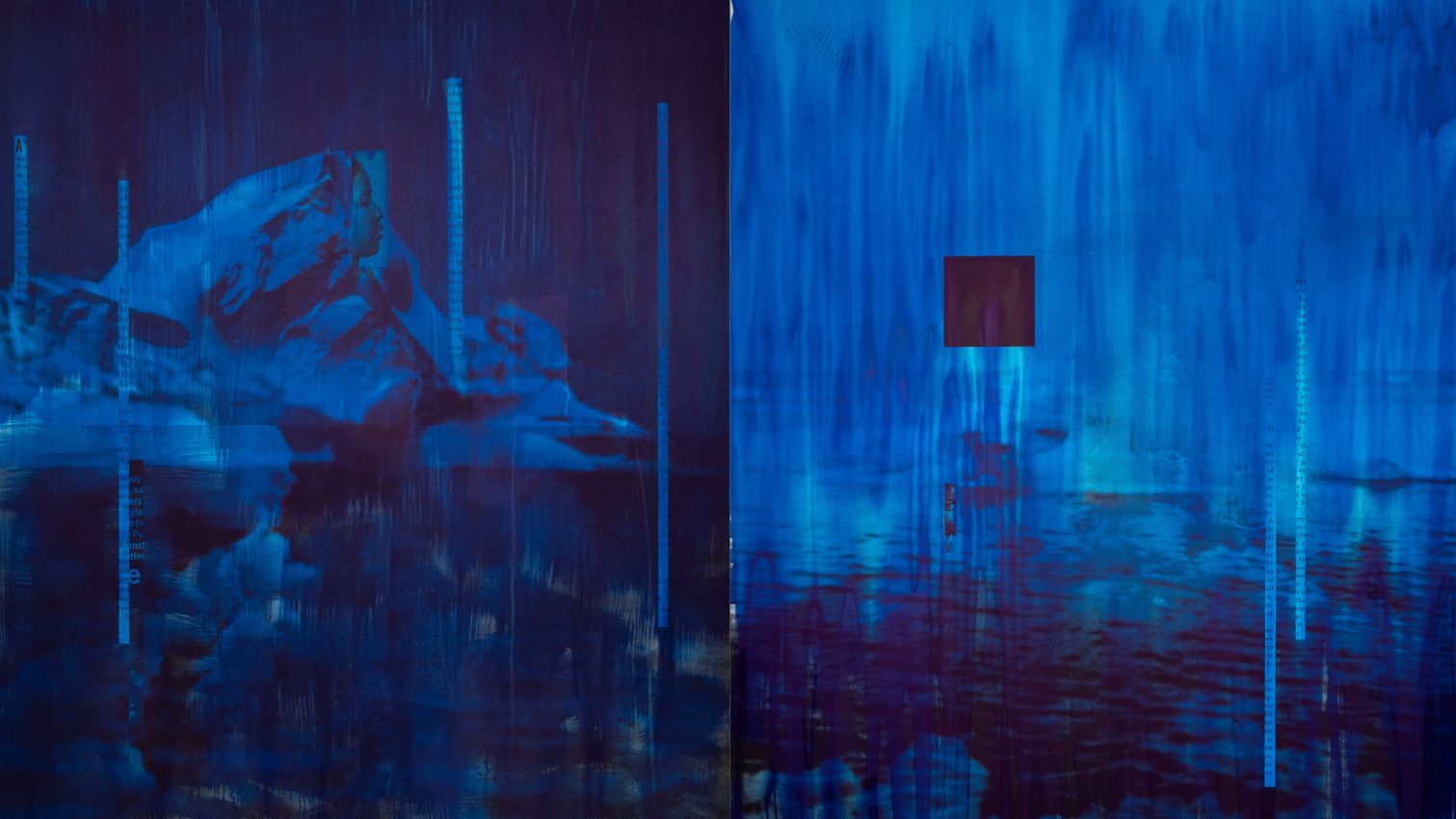 Lorna Simpson Brings Summer Blues to The Met