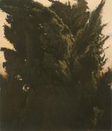 Tree-Oh by Israel Hershberg contemporary artwork painting