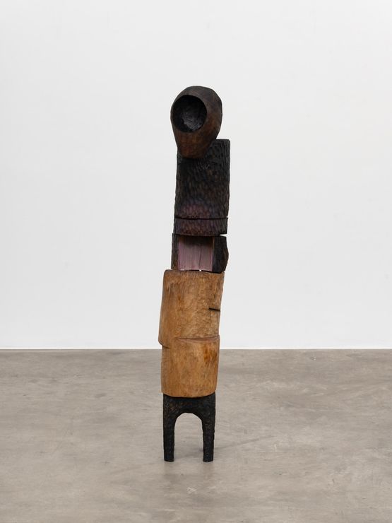 Lumps and bumps by Anderson Borba contemporary artwork Sculpture