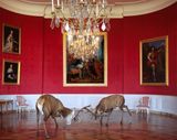 The Kings Reception Chateau de Chambord by Karen Knorr contemporary artwork photography print