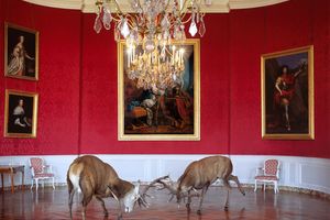 Karen Knorr