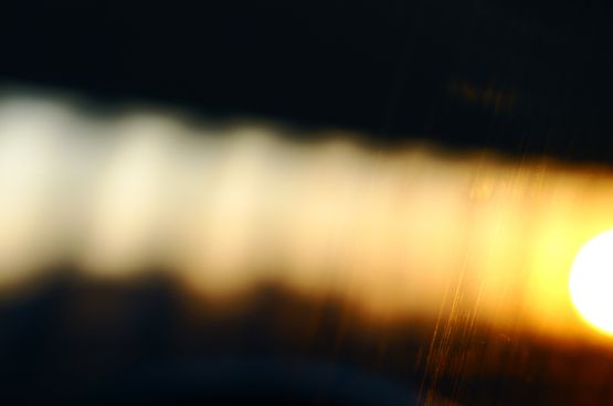OUT OF NOISE by Ruriko Taguchi contemporary artwork Photography