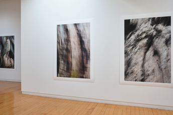 Anne Noble contemporary artist