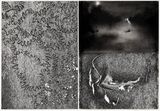100 Questions 50 Lies A Recital of True Events by Philippe Parreno contemporary artwork drawing painting works on paper