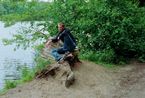 Boy on Stump by Stephen Waddell contemporary artwork Print