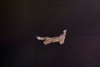 Iris Van Dongen contemporary artist