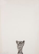 Herd II by Misheck Masamvu contemporary artwork works on paper