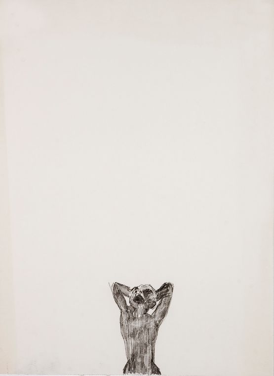 Herd II by Misheck Masamvu contemporary artwork Works on Paper