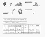 Coral Dictionary Whenever you go I will be able to find you. by Chang Yuchen contemporary artwork works on paper drawing
