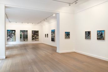 Contemporary art exhibition Marc Desgrandchamps Jardins obscurs at Galerie Lelong 13 Rue de Teheran Paris France