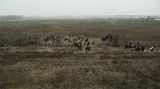 Wailing Requiem by Wang Tuo contemporary artwork moving image