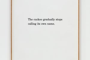 Marcus Coates
