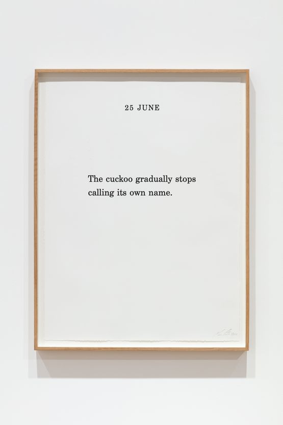 Nature Calendar 25 June by Marcus Coates contemporary artwork Print