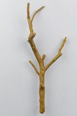 Topographic Specimens by Adip Dutta contemporary artwork sculpture
