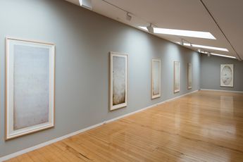 Contemporary art exhibition Joyce Campbell subtilis at Two Rooms Auckland New Zealand