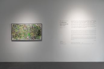 Contemporary art exhibition Li Yushuang Li Yushuang Solo Exhibition at Asia Art Center Beijing China