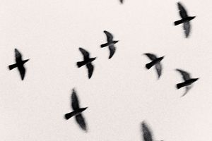 Michael Kenna