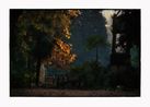 Untitled by Bill Henson contemporary artwork Photography