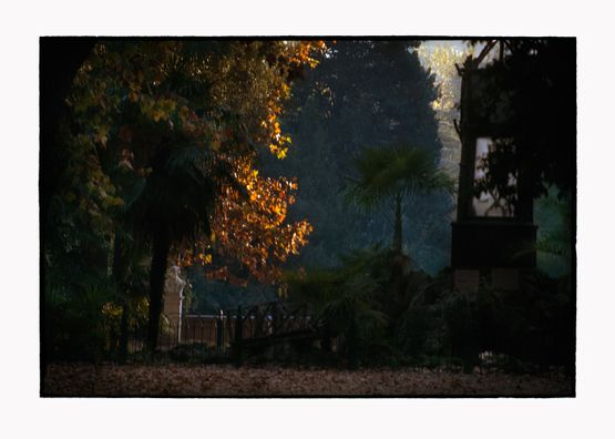 Untitled by Bill Henson contemporary artwork Photography