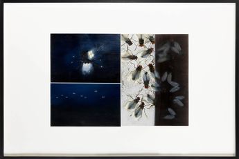 Contemporary art exhibition Philippe Parreno A Recital of True Events at Pilar Corrias Savile Row United Kingdom