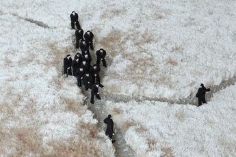 Ji Wenyu Zhu Weibing contemporary artist