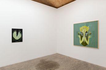 Contemporary art exhibition Clare Milledge bramble-hound heron-wound two stone wolves at STATION Melbourne Australia