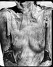 Nudes 81-84 Bare Essentials by David Bailey contemporary artwork Photography
