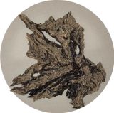 Microcosm 19 Driftwood Study by Kelly Wang contemporary artwork mixed media painting works on paper