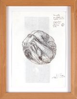 Korperstudie zur Skulptur 4 by Leander Schonweger contemporary artwork drawing works on paper