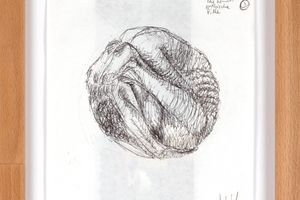 Leander Schonweger