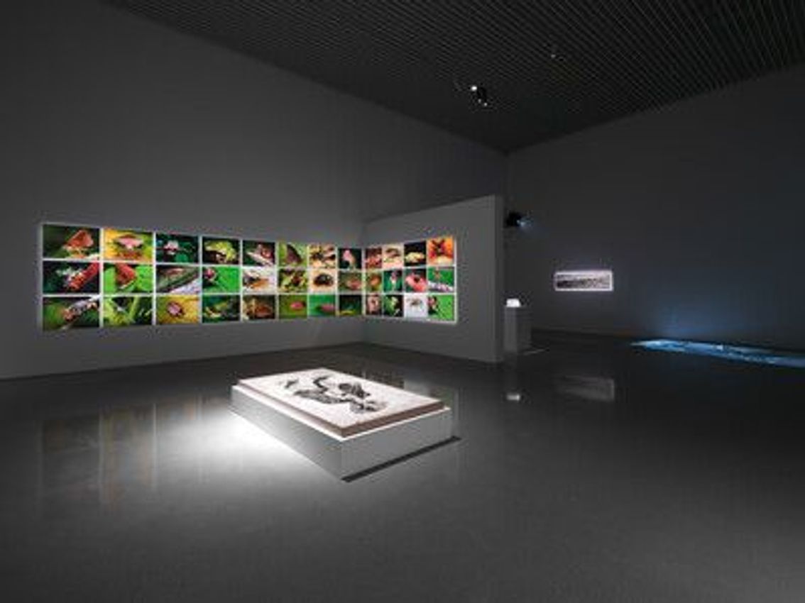 Group Exhibition