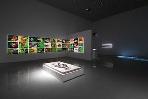 Group Exhibition