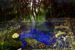 Annelies Strba contemporary artist
